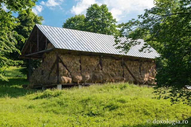 (Foto) Vizită la stupina Mănăstirii Sihăstria