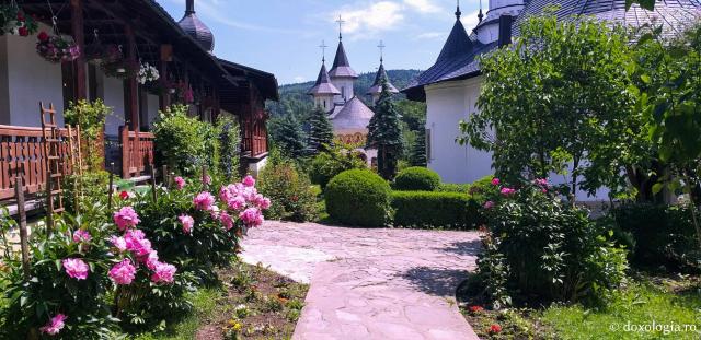 (Foto) Zile de vară la Mănăstirea Sihăstria