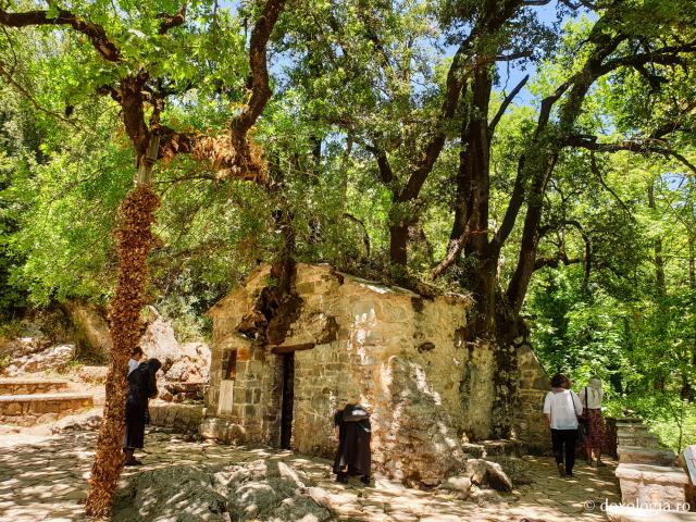 (Foto) Bisericuța din care cresc 17 copaci - acasă la Sfânta Teodora din Vasta
