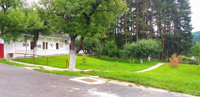 (Foto) Mănăstirea Sihăstria – zile de vară și eclipsă parțială de Lună