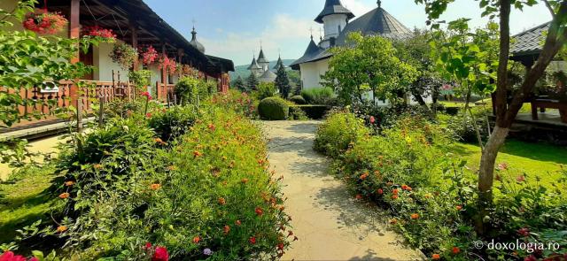 (Foto) Început de septembrie la Mănăstirea Sihăstria