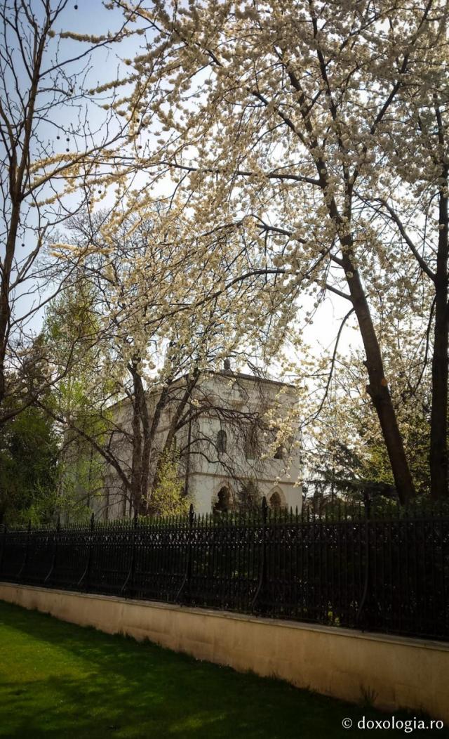 (Foto) Catedrala Mitropolitană din Iași în Săptămâna Sfintelor Pătimiri