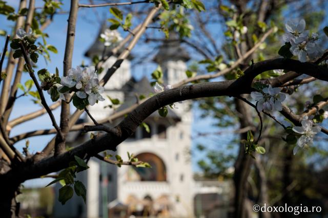 (Foto) Denia celor 12 Evanghelii în bisericile din Arhiepiscopia Iașilor