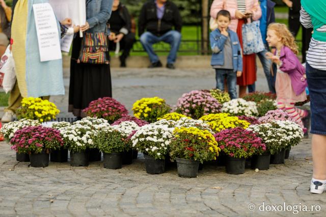 (Foto) Cu flori și cu dragoste multă la Sfânta Cuvioasă Parascheva