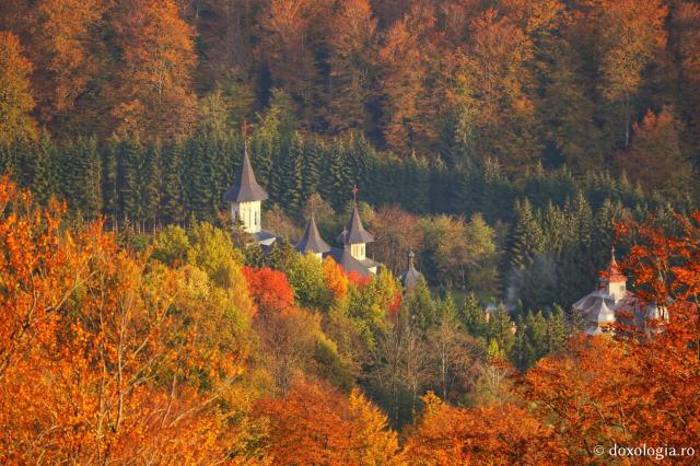 (Foto) Culori și iarăși culori – Mănăstirea Sihăstria