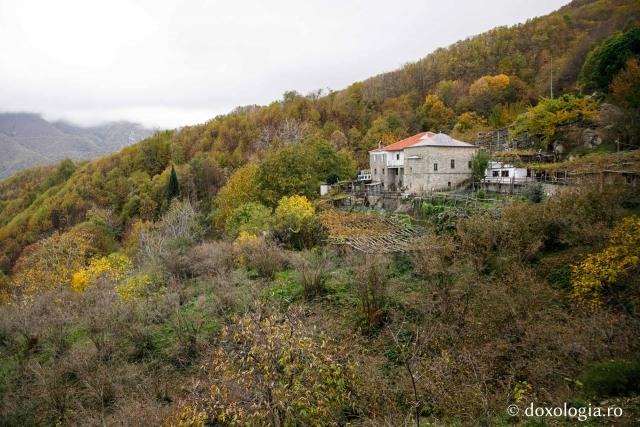 (Foto) Culorile toamnei în Sfântul Munte Athos