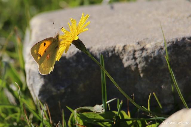 (Foto) Toamna și frumusețile ei – Mănăstirea Sihăstria