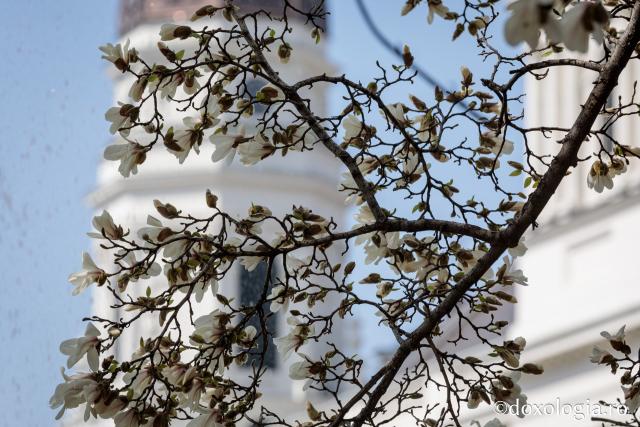 (Foto) Primăvara – prilej de înnoire sufletească alături de Sfânta Parascheva
