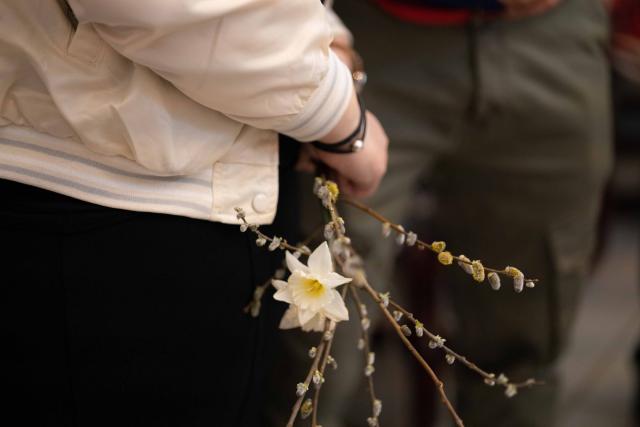 (Foto) Sâmbăta lui Lazăr și Praznicul Floriilor, în Episcopia Europei de Nord