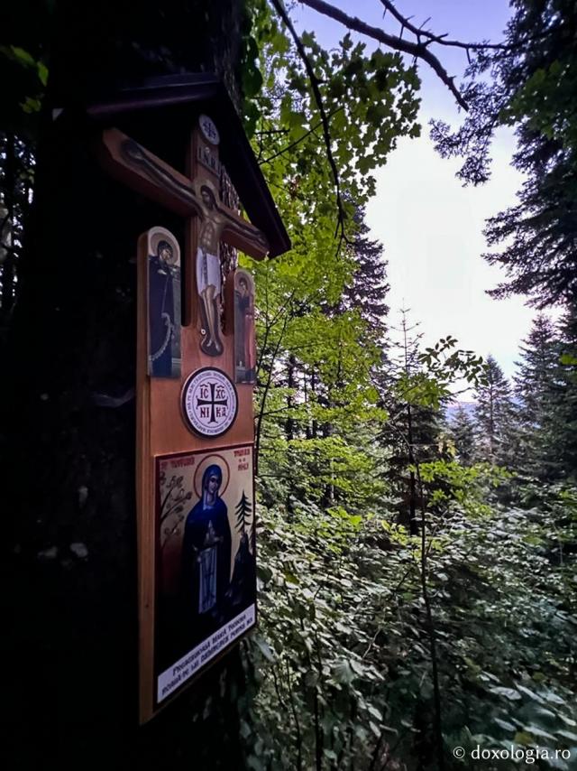 (Foto) Mănăstirea Sihla în ajunul prăznuirii Sfintei Teodora – 6 august 2022