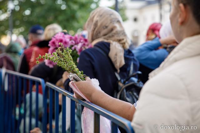 (Foto) Flori pentru Sfânta Parascheva