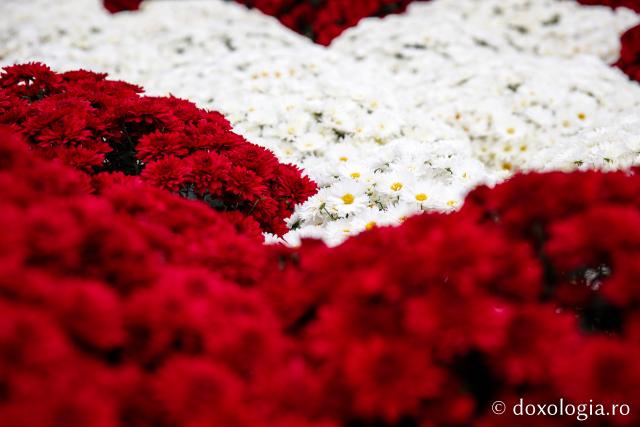 (Foto) Veșmânt de flori pentru slujba din ziua Sfintei Parascheva
