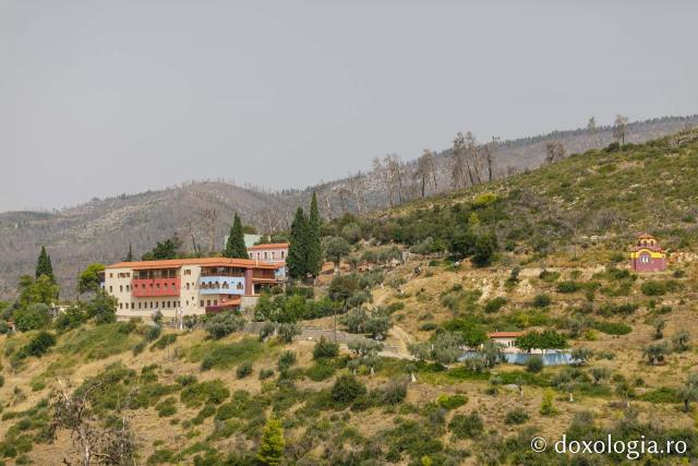 Pași de pelerin la Mănăstirea Makrimallis din insula Evia