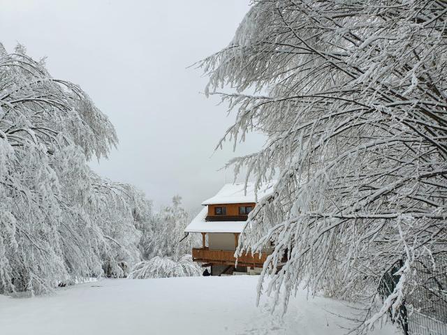 (Foto) Mănăstirea Paltin: isihie și ninsoare în prima zi a Postului Mare