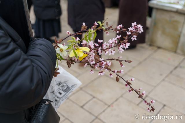 (Foto) Pelerinajul de Florii de la Piatra Neamț – 2023