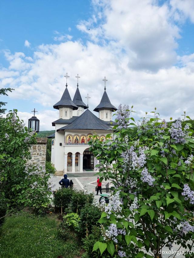 (Foto) Mănăstirea Sihăstria la sfărșit de luna mai