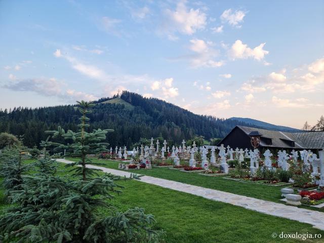 Cimitirul Mănăstirii Putna