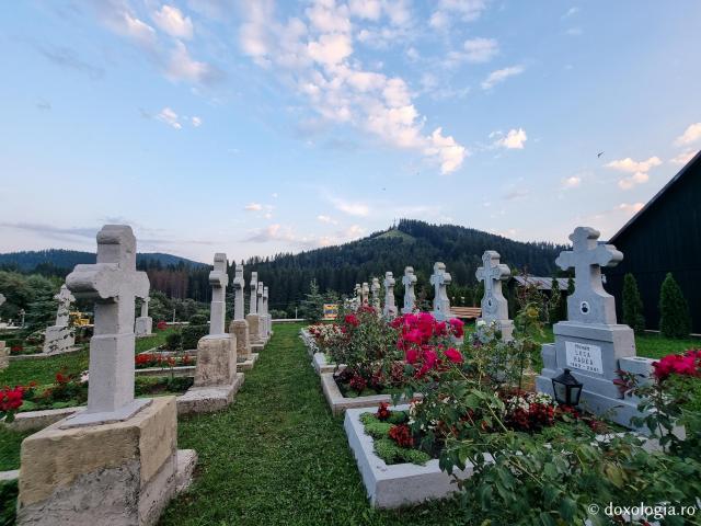 Cimitirul Mănăstirii Putna