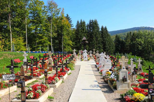 Cimitirul Mănăstirii Sihăstria