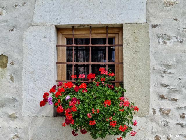 Flori - Mănăstirea Sucevița