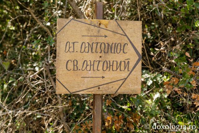 Peștera Cuviosului Antonie de la Lavra Pecerska