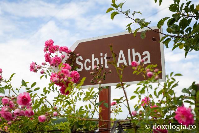 Schitul Alba