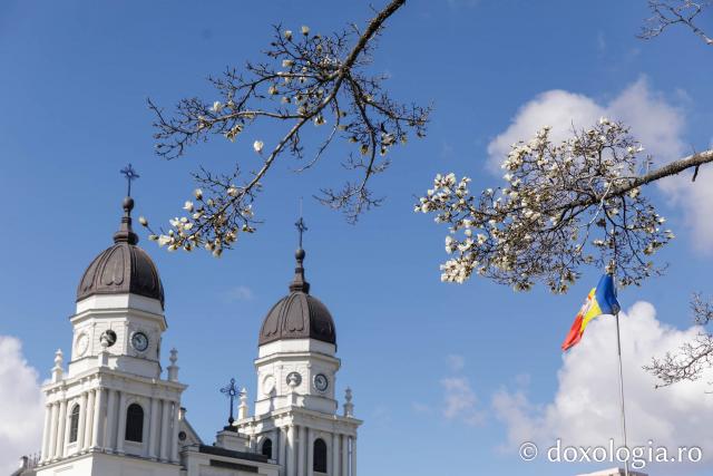 Flori de magnolii Catedrala Mitropolitană din Iași
