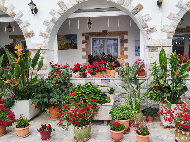 Florile de la Mănăstirea „Sfântul Rafail” din Insula Lesvos