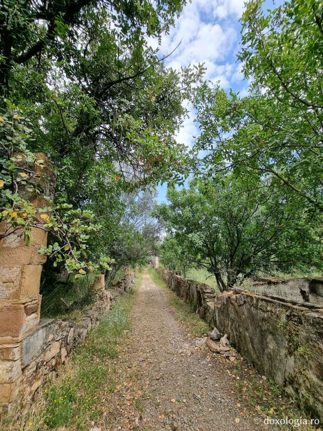 Locul de nevoință al Sfântului Nichifor – Leprozăria din Chios