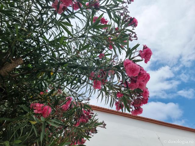 Biserica „Sfântul Pantelimon” din Vrontados, Insula Chios