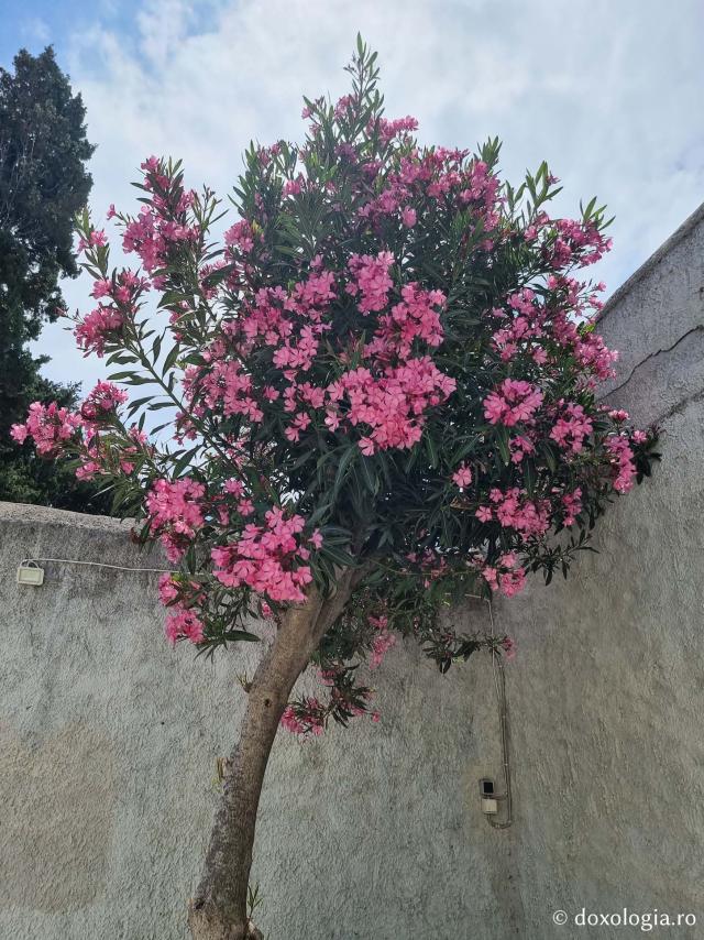 Biserica „Sfântul Pantelimon” din Vrontados, Insula Chios