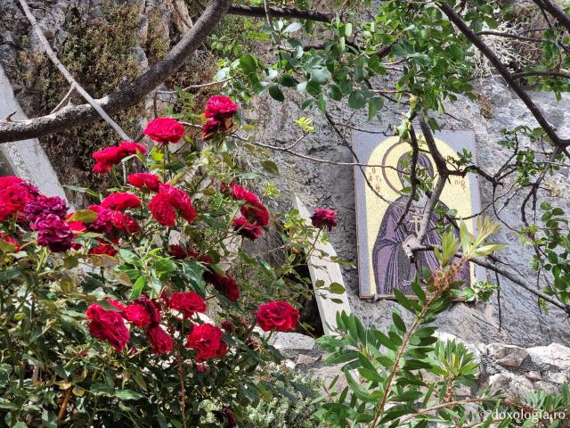 Florile de la Mănăstirea „Sfântul Cuvios Patapie” din Loutraki