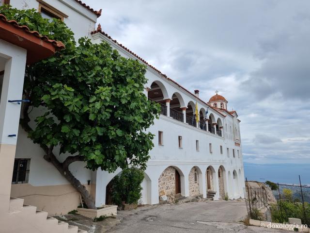 Pași de pelerin la Mănăstirea „Sfinților Părinți” din Insula Chios, Grecia
