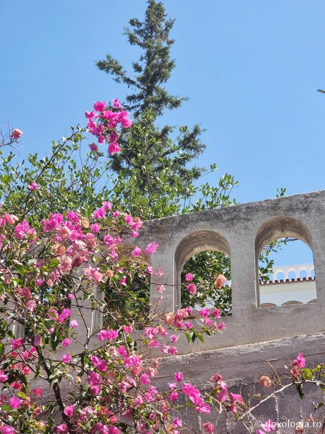 Frumusețea florilor de la Mănăstirea Sfântului Nectarie din Eghina