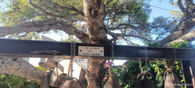 Chilia Sfântului Cuvios Sava cel Nou din Kalymnos