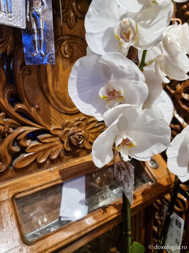 Icoana Maicii Domnului „Grabnic-Ascultătoarea” din Biserica „Panaghia Gorgoepikoos” din Tesalonic / Foto: Magda Buftea Icoana Maicii Domnului „Grabnic-Ascultătoarea” din Biserica „Panaghia Gorgoepikoos” din Tesalonic