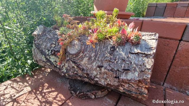 Mănăstirea „Sfântul Mare Mucenic Gheorghe” – Bunești