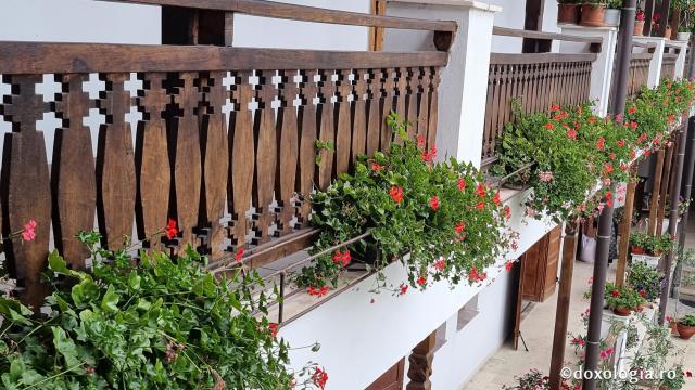 Mănăstirea Arnota
