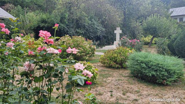 Mănăstirea Dintr-un Lemn