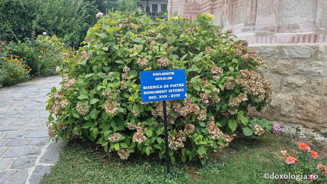 Mănăstirea Dintr-un Lemn - Biserica de piatră