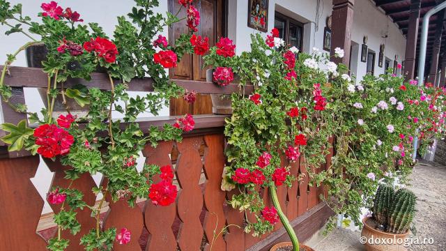 Mănăstirea Govora – una dintre cele mai vechi mănăstiri din Țara Românească / Foto: Crina Zamfirescu Mănăstirea Govora