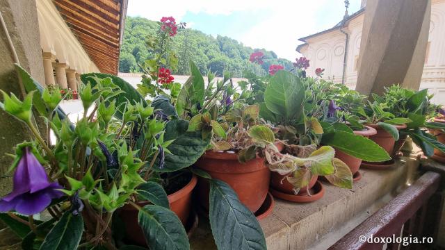 Mănăstirea Hurezi, cea mai importantă ctitorie a domnitorului martir Constantin Brâncoveanu / Foto: Crina Zamfirescu Mănăstirea Hurezi