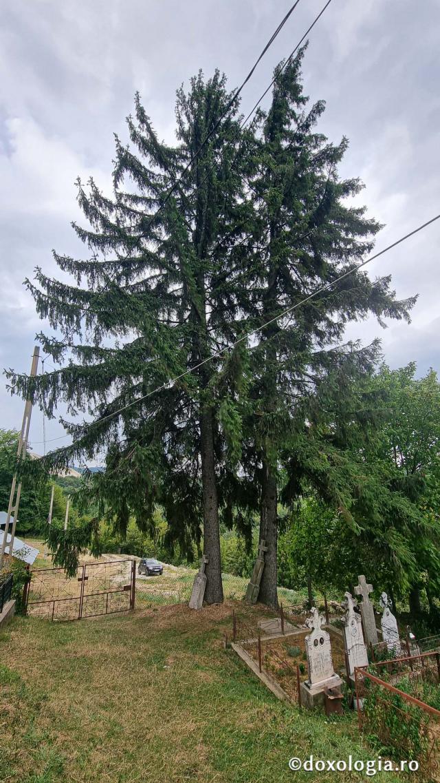 Mănăstirea Păpușa
