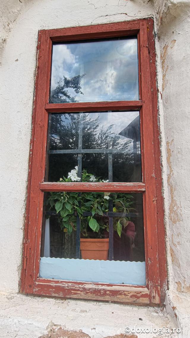 Mănăstirea Păpușa