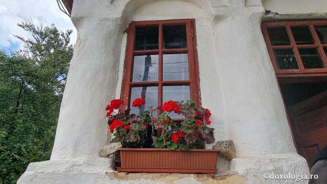 Mănăstirea Păpușa