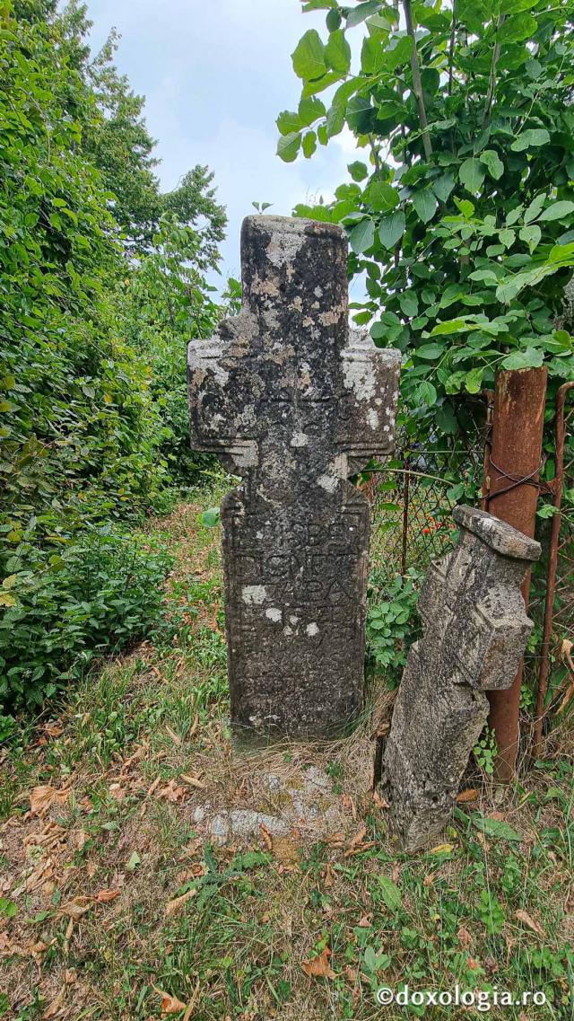 Mănăstirea Păpușa