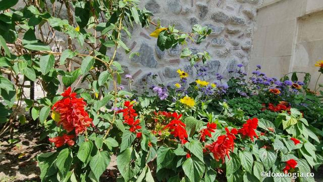 Bolnița „Sfântul Nicolae” de la Mănăstirea Polovragi