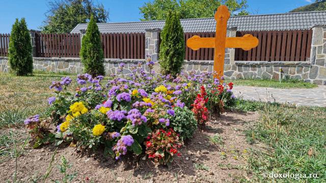 Bolnița „Sfântul Nicolae” de la Mănăstirea Polovragi