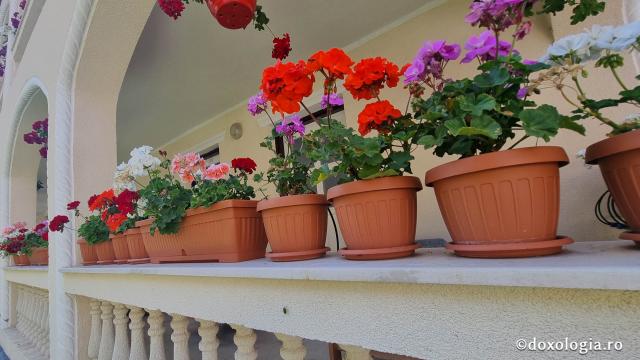 Mănăstirea „Sfântul Mare Mucenic Dimitrie” Sighișoara
