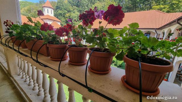 Mănăstirea „Sfântul Mare Mucenic Dimitrie” Sighișoara